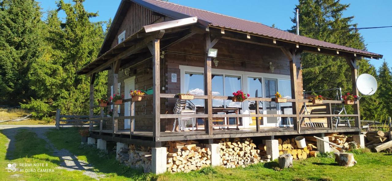 Casuta Schiorului Villa Marisel Exterior photo
